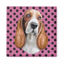 Basset Hound Red & White