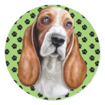 Basset Hound Red & White