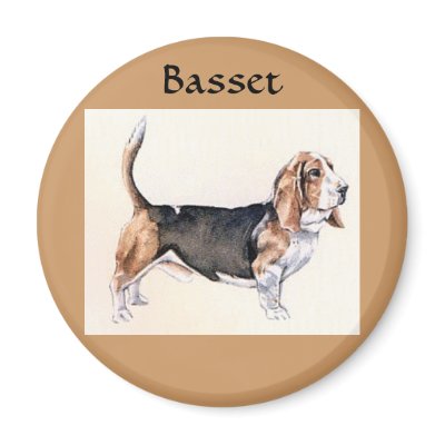 Basset Hound round magnet by San_Marcos_Mamma
