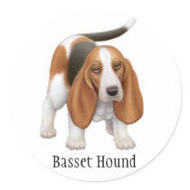 Basset Hound Sticker