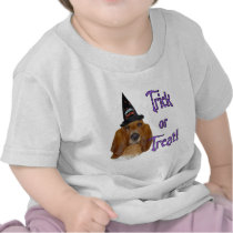 Basset Hound Trick