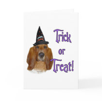 Basset Hound Trick