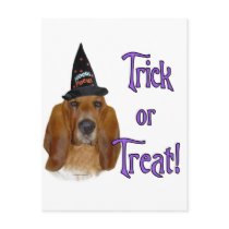 Basset Hound Trick