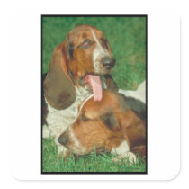 Basset Hounds Stickers