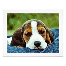 Basset Puppy Resting - Brown Black and White Photo