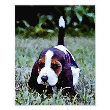 Basset Puppy Walking - Black Brown White Art Photo