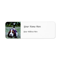 Basset Puppy Walking - Black Brown White Custom Return Address Labels