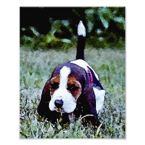Basset Puppy Walking - Black Brown White Art Photo