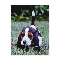 Basset Puppy Walking - Black Brown White Post Card