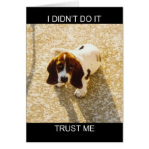 Bassett Hound Cards