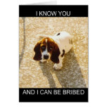 Bassett Hound Cards