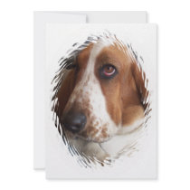 Bassett Hound Invitation