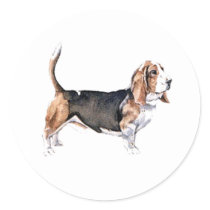 Bassett Hound Sticker