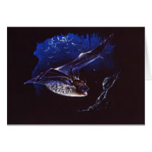 Bat Cave Haunting Card