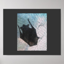 BAT POSTER