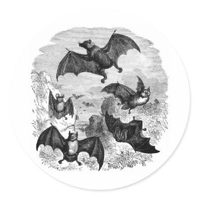 Bat Sketch Stickers by HalloweenGiftFun