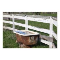 Bath on the Farm Photographic Print