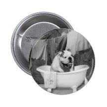 Bath time big fellow pinback button