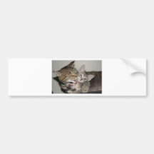 Bath Time Bumper Stickers