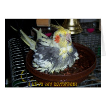Bath Time Greeting Card