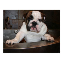 Bath time Post card