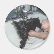 Bath Time Refrigerator Magnets