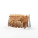 Bathing Baby Elephant Greeting Card