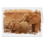Bathing Baby Elephant Greeting Card