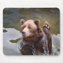 Bathing Brown Bear  Mouse Pad