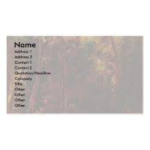 Bathing Girl In The Park Of Terni By Blechen Carl Business Cards
