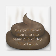 Bathroom Blessing: Don't Step in Poop Twice Magnets