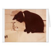 Bathroom Pepper Black Cat Greeting Cards