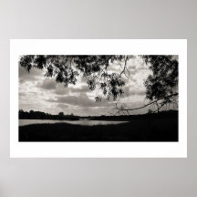 Batiquitos Lagoon Silhouettes Print