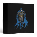 Batman Classic Stance binders
