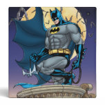 Batman Scenes - Moon Side View binders