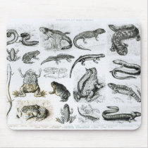Batrachians and other Amphibia mousepads