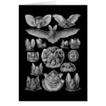 Bats Greeting Card