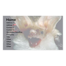Batte Cartes De Visite Professionnelles