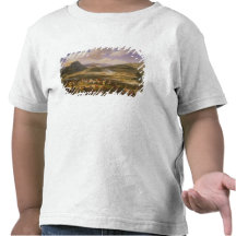 Battle of Mount Thabor, 16th April 1799, 1808 T-shirts