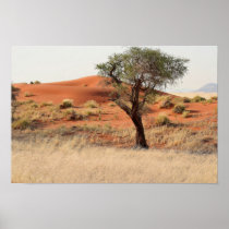 Baum in der Wüste Poster