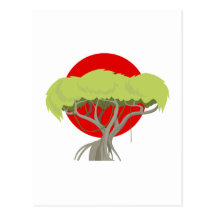 Baum Savanne tree savanna Postkarten