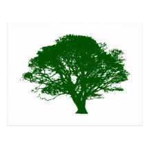 baum tree postkarte