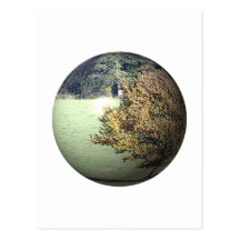 Baum tree postkarte