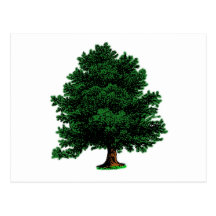 baum tree postkarten