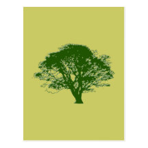 baum tree postkarten