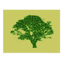 baum tree postkarten