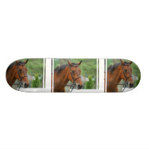 Bay Arab Horse Skateboard