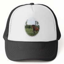 Bay Horse Baseball Hat