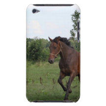 Bay Horse Design iTouch Case iPod Touch Cover