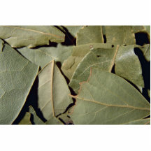 Bay leaves photo cut out